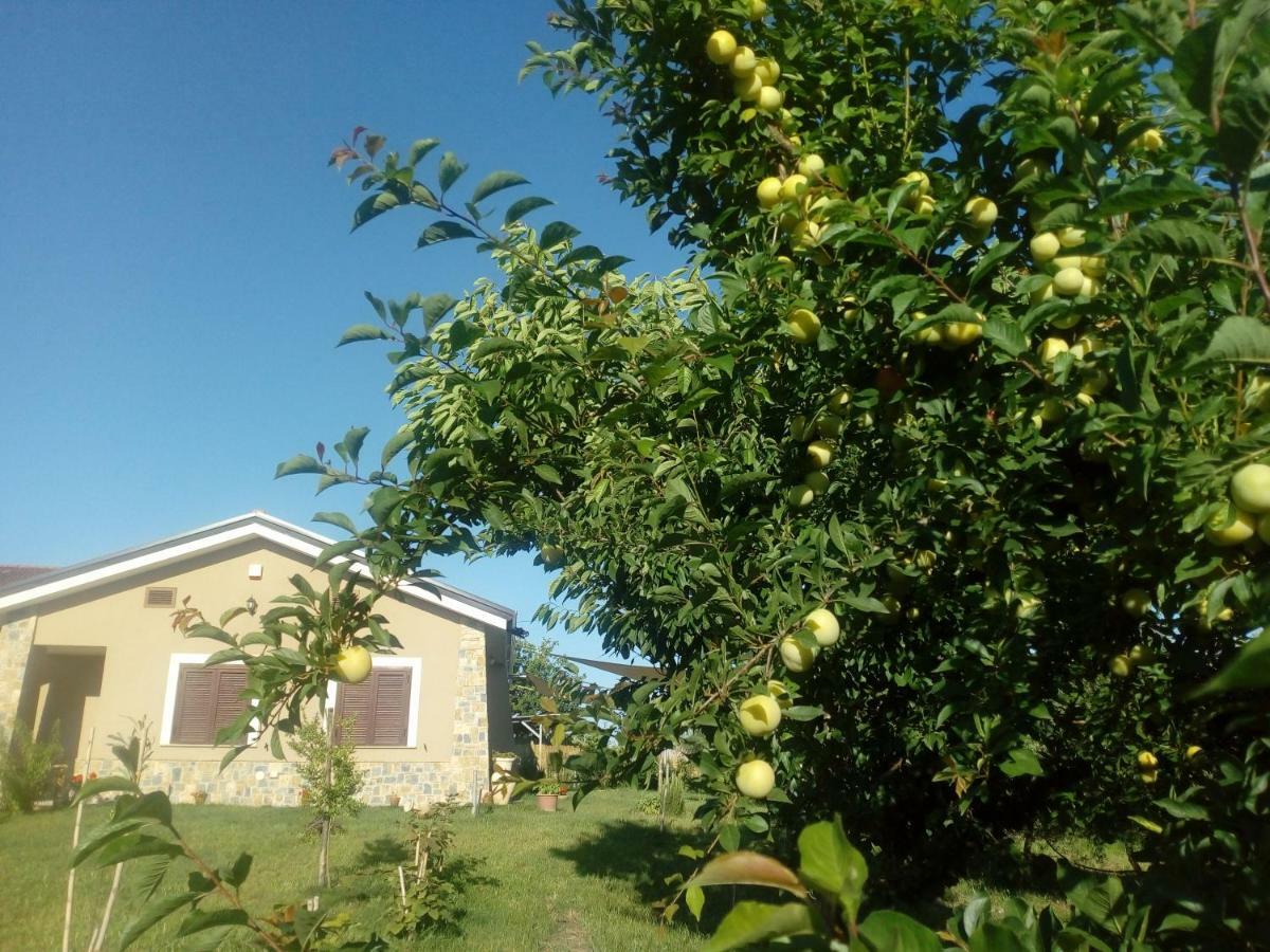 B&B Le Colonne Di Hera Argiva Capaccio Zewnętrze zdjęcie